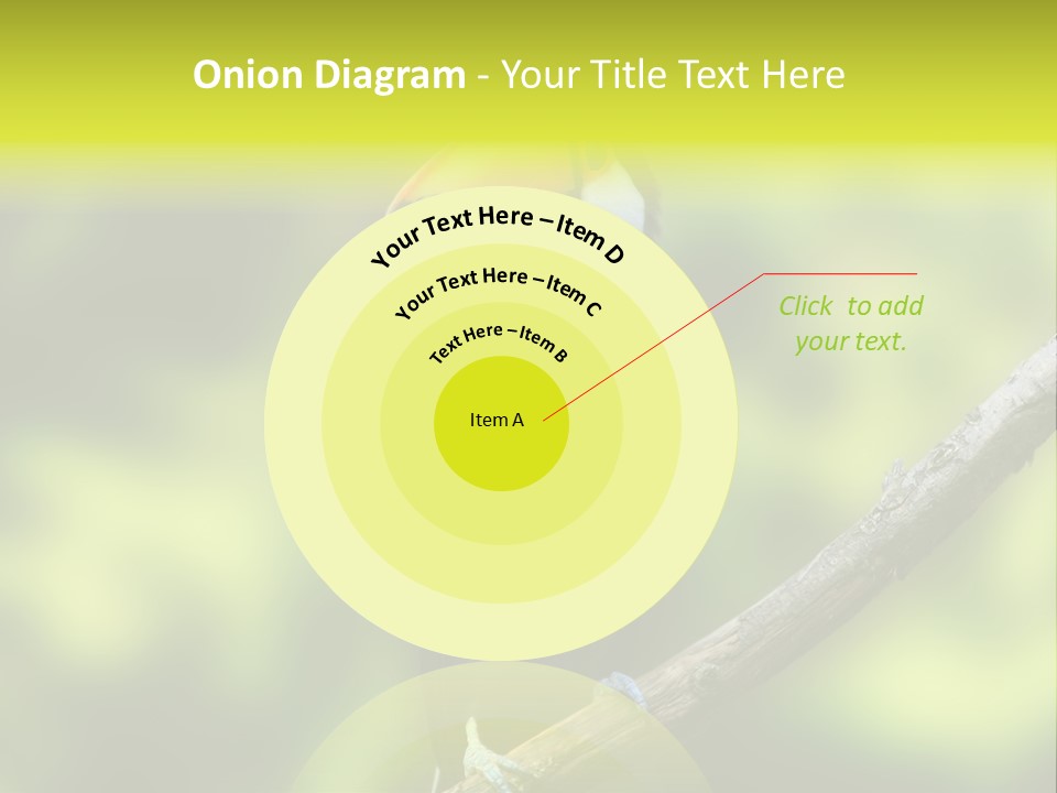 Beautiful Tucan Sitting On A Branch PowerPoint Template