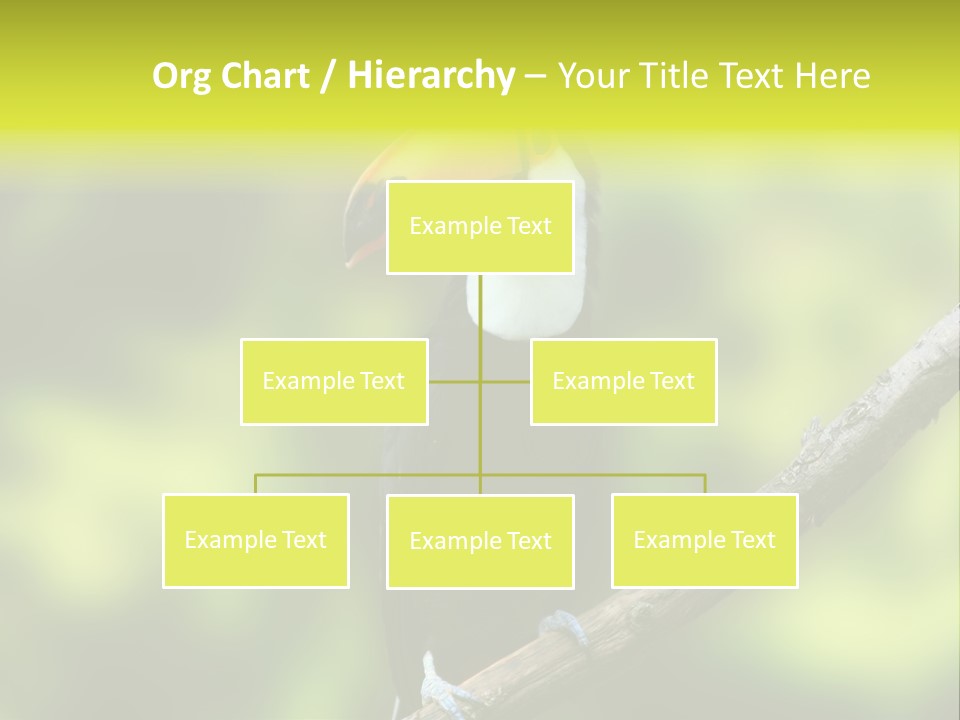 Beautiful Tucan Sitting On A Branch PowerPoint Template