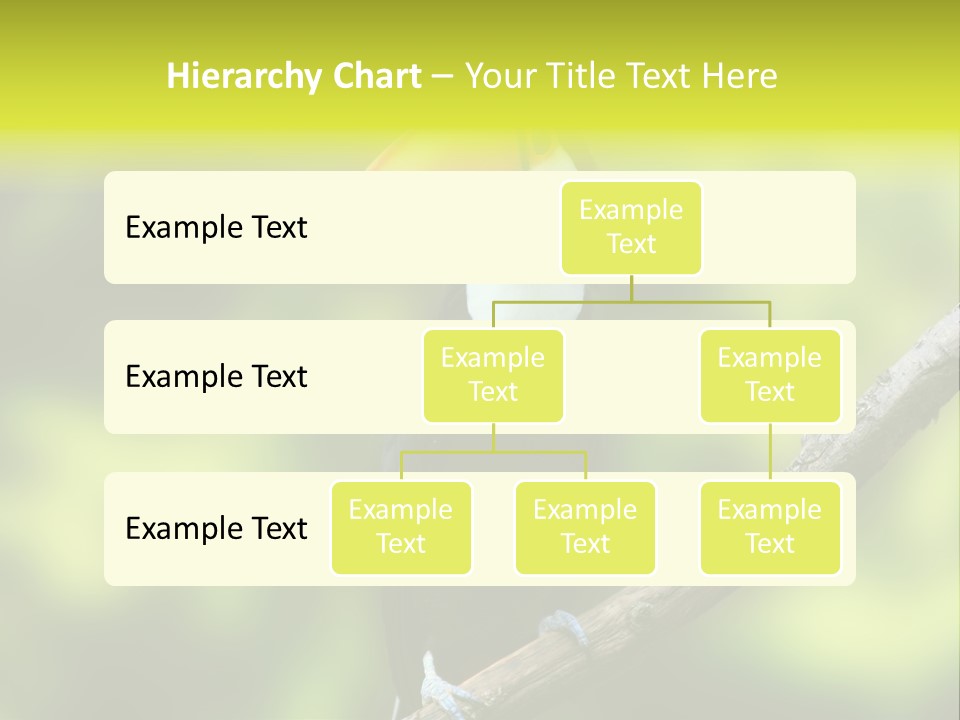 Beautiful Tucan Sitting On A Branch PowerPoint Template