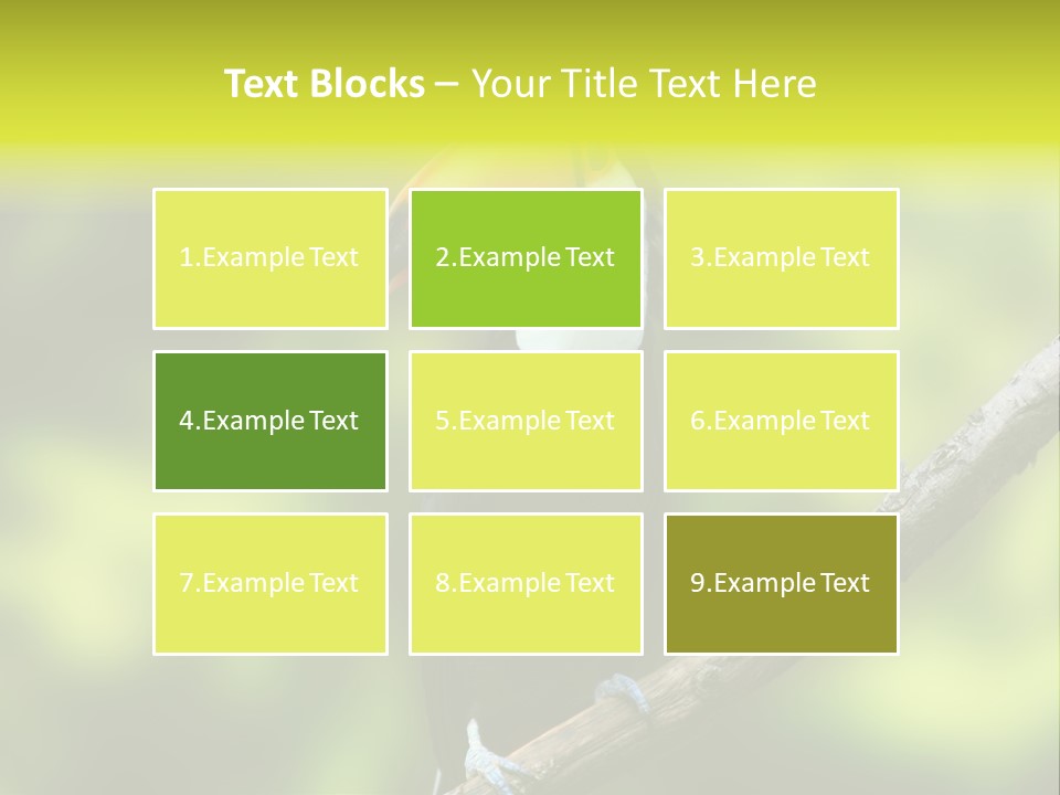 Beautiful Tucan Sitting On A Branch PowerPoint Template