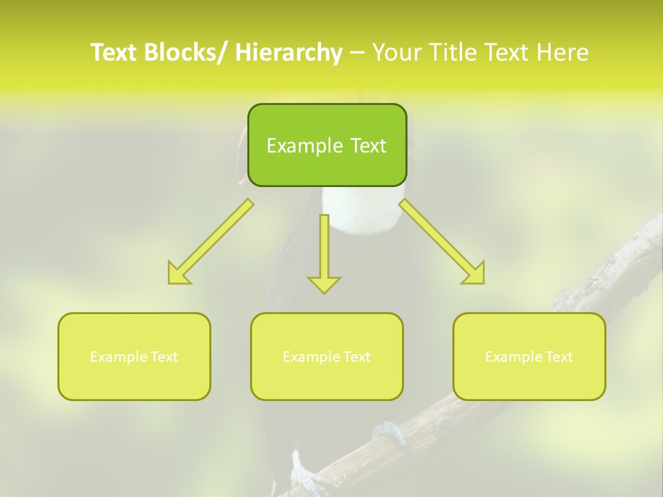 Beautiful Tucan Sitting On A Branch PowerPoint Template