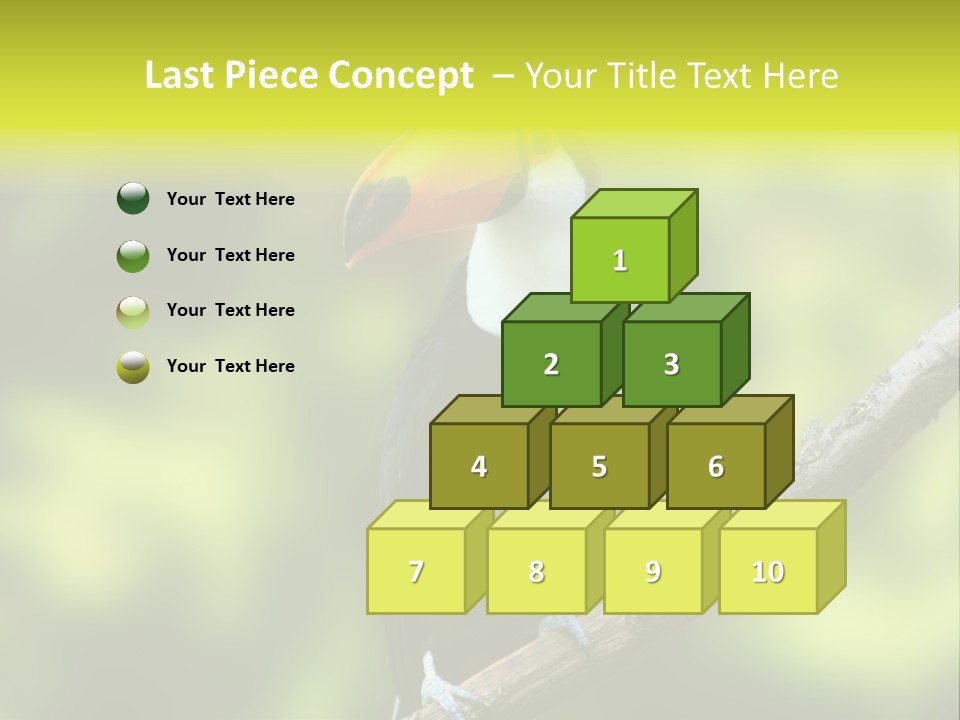 Beautiful Tucan Sitting On A Branch PowerPoint Template