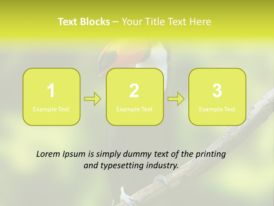 Beautiful Tucan Sitting On A Branch PowerPoint Template
