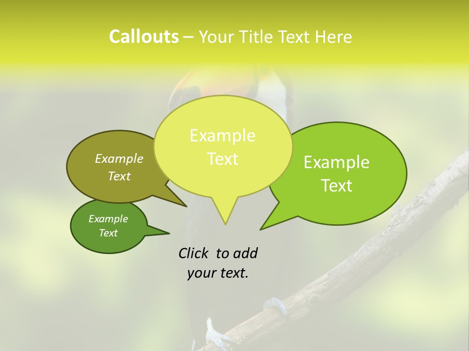 Beautiful Tucan Sitting On A Branch PowerPoint Template