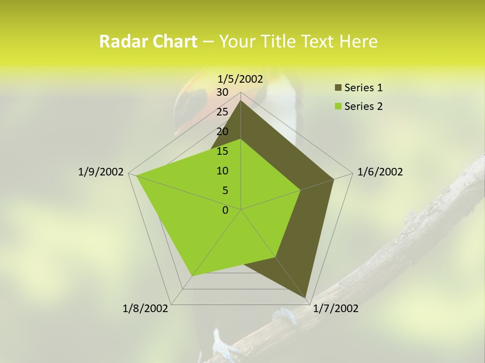 Beautiful Tucan Sitting On A Branch PowerPoint Template
