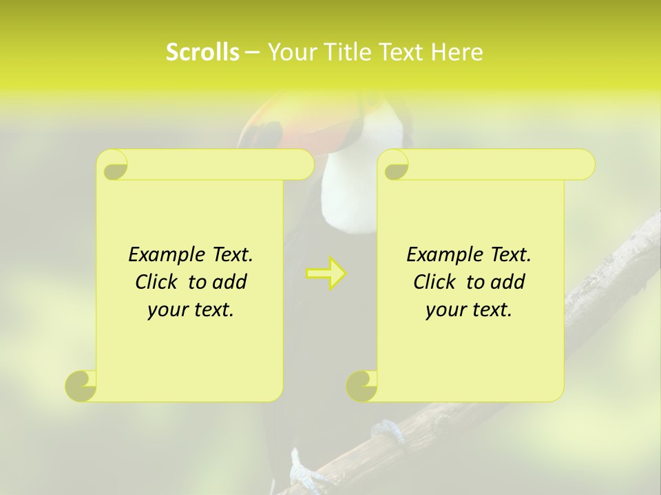 Beautiful Tucan Sitting On A Branch PowerPoint Template