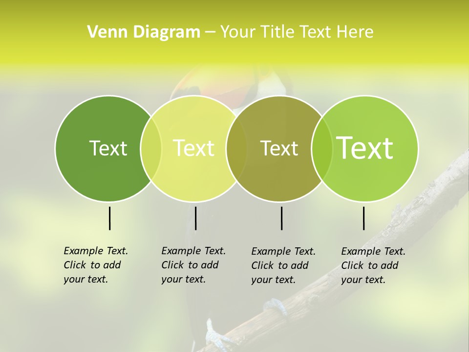 Beautiful Tucan Sitting On A Branch PowerPoint Template