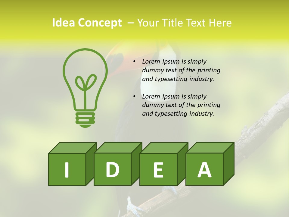 Beautiful Tucan Sitting On A Branch PowerPoint Template