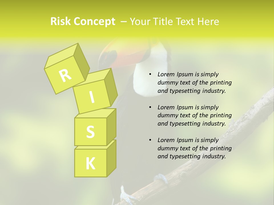 Beautiful Tucan Sitting On A Branch PowerPoint Template