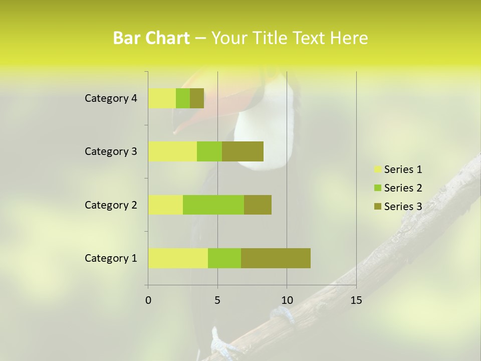 Beautiful Tucan Sitting On A Branch PowerPoint Template