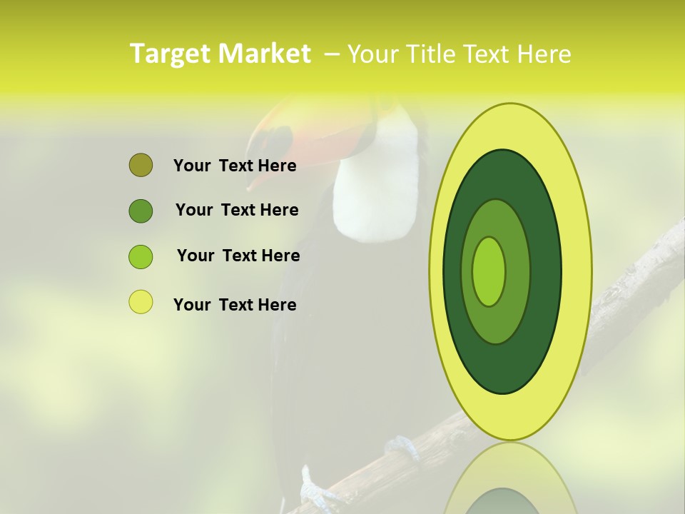 Beautiful Tucan Sitting On A Branch PowerPoint Template