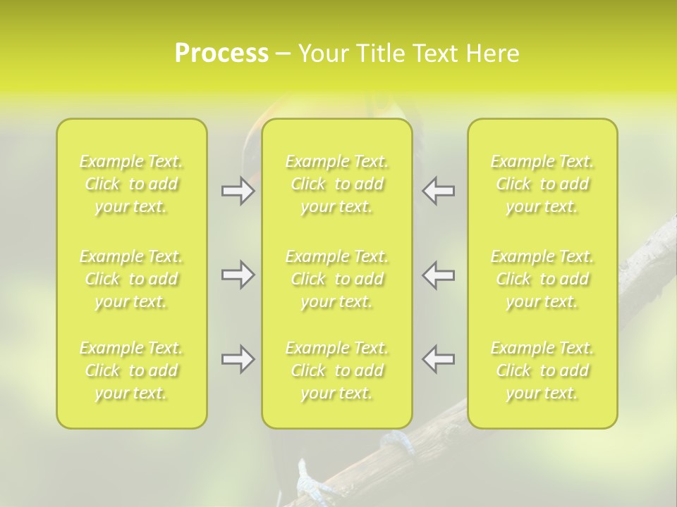 Beautiful Tucan Sitting On A Branch PowerPoint Template