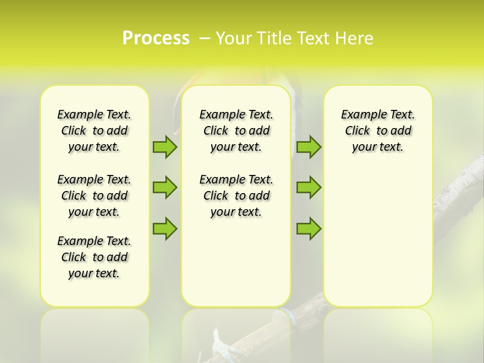 Beautiful Tucan Sitting On A Branch PowerPoint Template