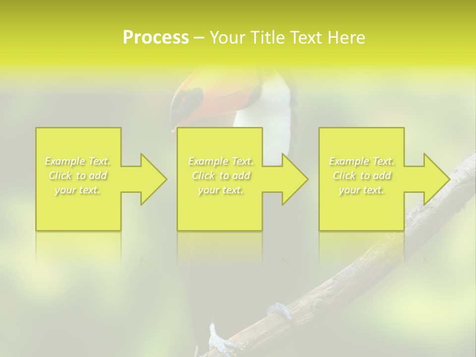 Beautiful Tucan Sitting On A Branch PowerPoint Template