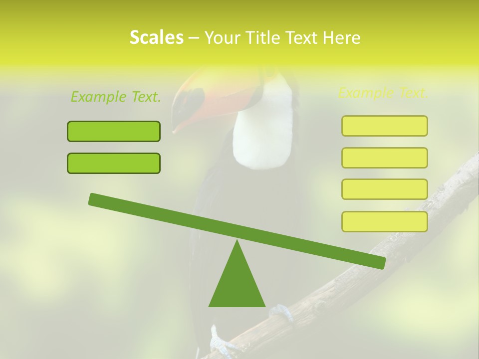 Beautiful Tucan Sitting On A Branch PowerPoint Template