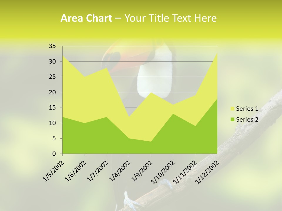 Beautiful Tucan Sitting On A Branch PowerPoint Template