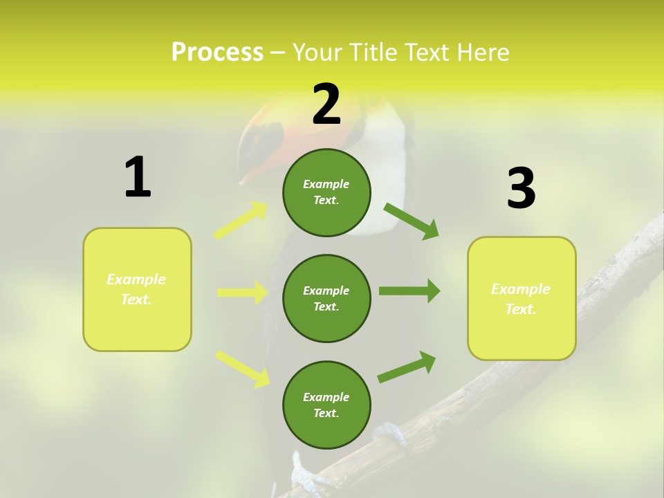 Beautiful Tucan Sitting On A Branch PowerPoint Template