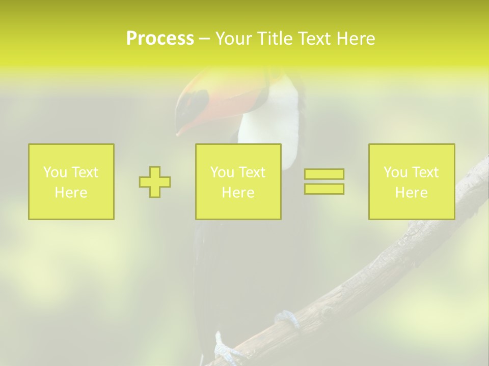 Beautiful Tucan Sitting On A Branch PowerPoint Template