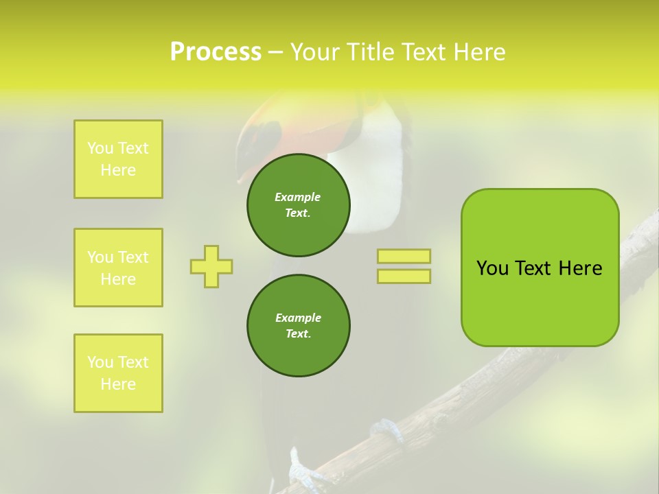 Beautiful Tucan Sitting On A Branch PowerPoint Template