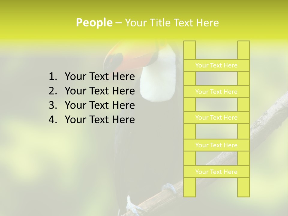 Beautiful Tucan Sitting On A Branch PowerPoint Template