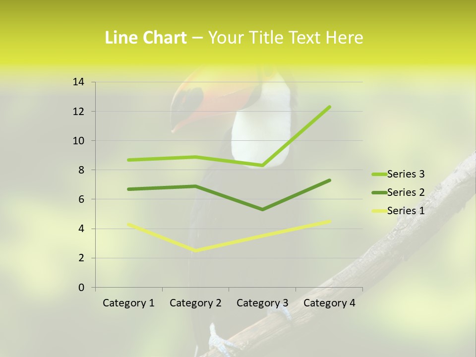 Beautiful Tucan Sitting On A Branch PowerPoint Template