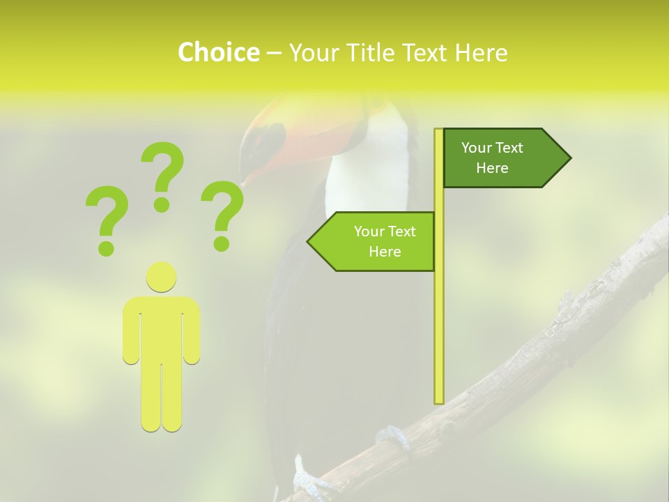 Beautiful Tucan Sitting On A Branch PowerPoint Template