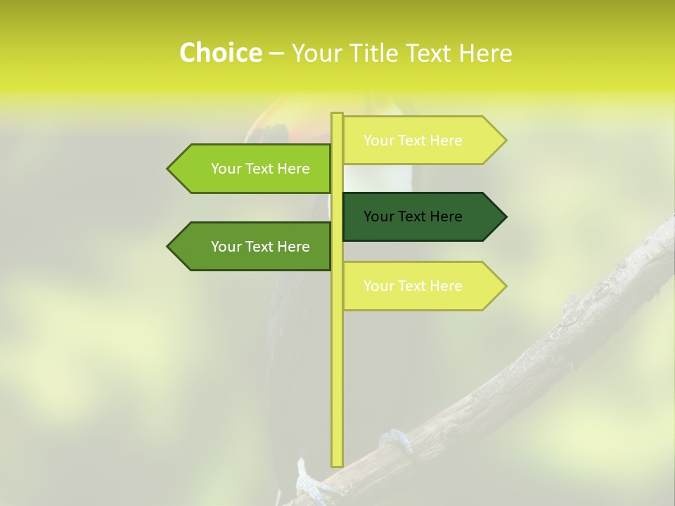 Beautiful Tucan Sitting On A Branch PowerPoint Template
