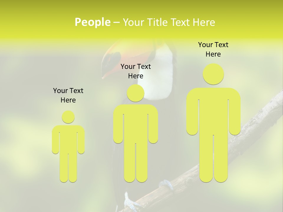 Beautiful Tucan Sitting On A Branch PowerPoint Template