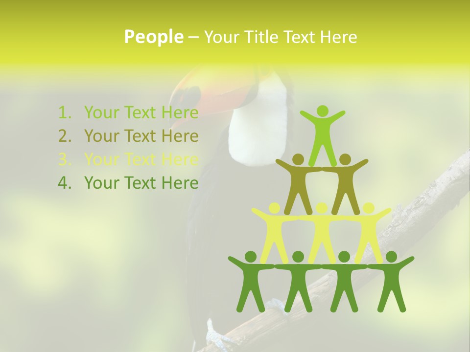 Beautiful Tucan Sitting On A Branch PowerPoint Template