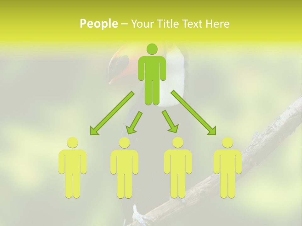 Beautiful Tucan Sitting On A Branch PowerPoint Template