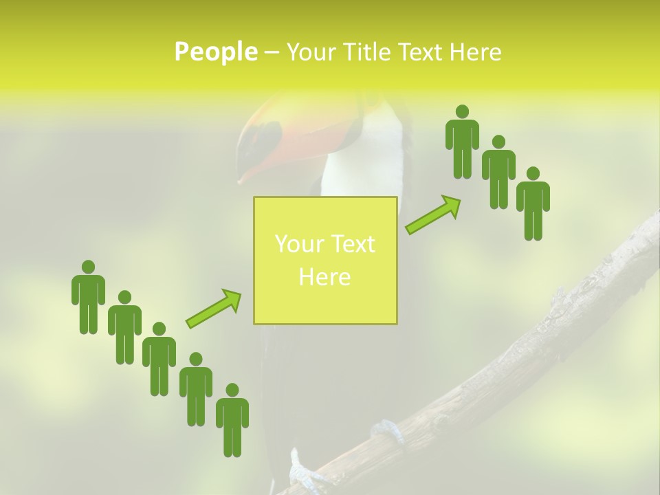 Beautiful Tucan Sitting On A Branch PowerPoint Template