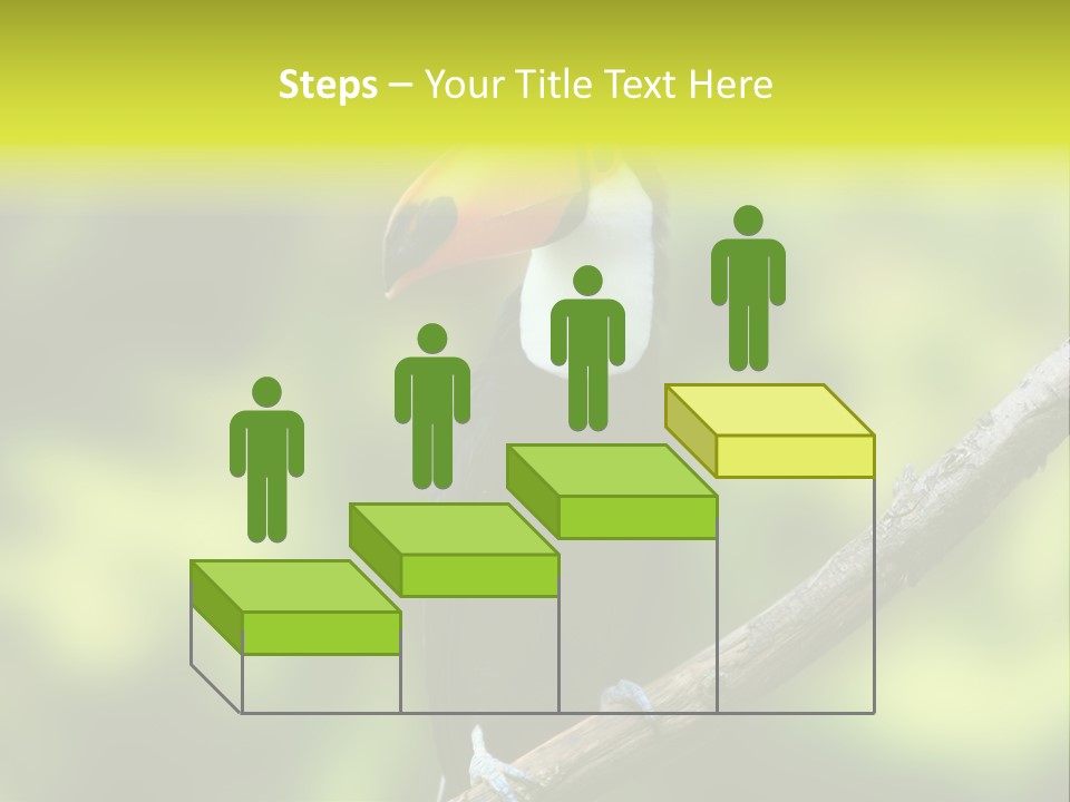 Beautiful Tucan Sitting On A Branch PowerPoint Template