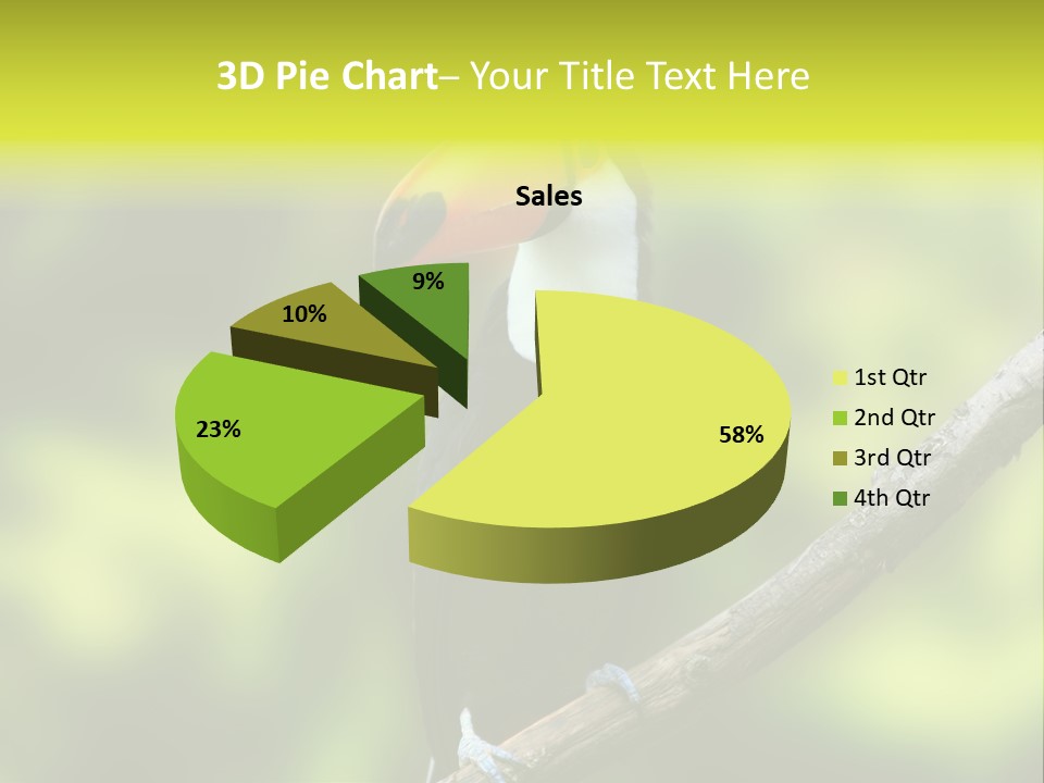 Beautiful Tucan Sitting On A Branch PowerPoint Template
