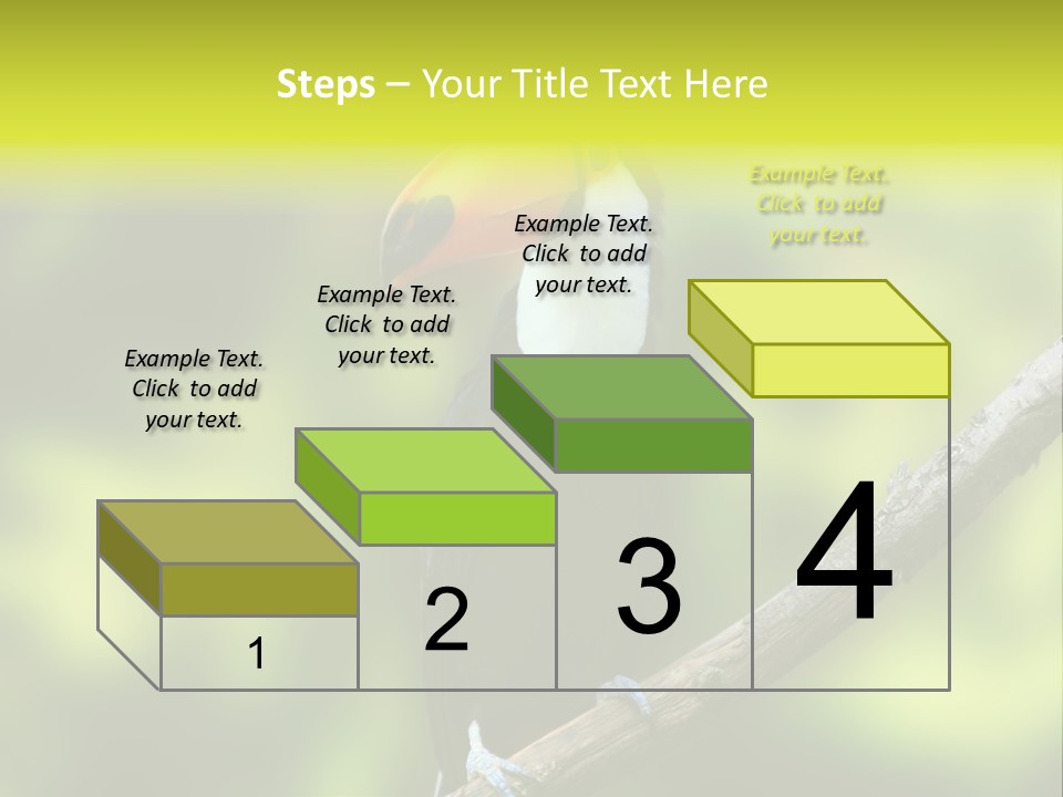 Beautiful Tucan Sitting On A Branch PowerPoint Template