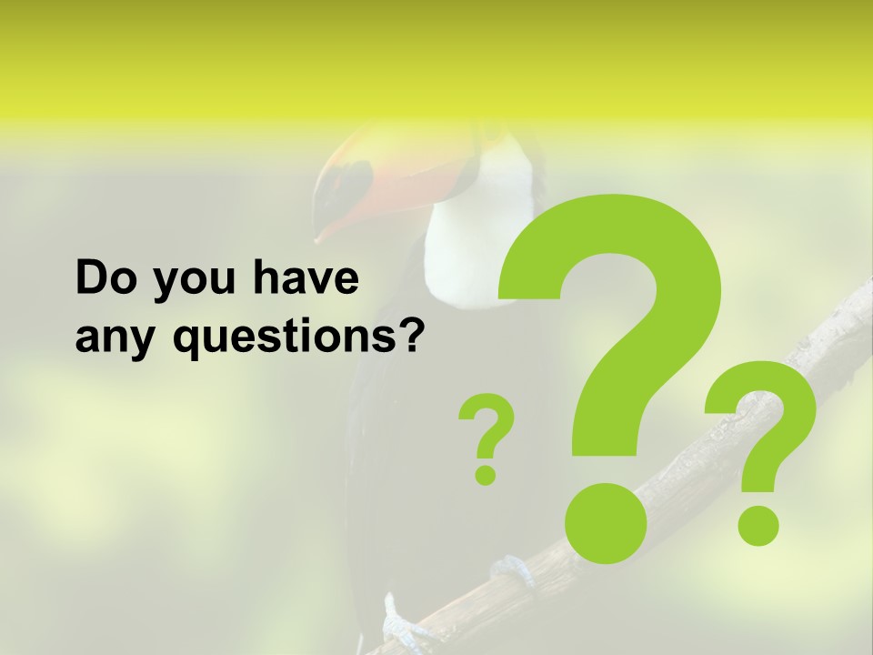 Beautiful Tucan Sitting On A Branch PowerPoint Template