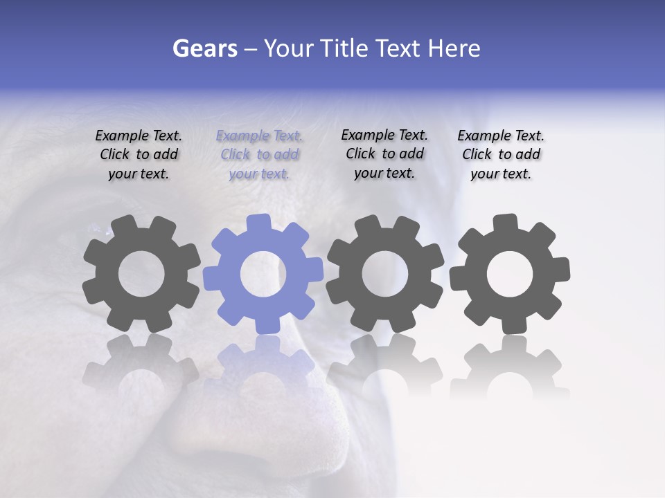 Old Lady Looking To The Sky PowerPoint Template