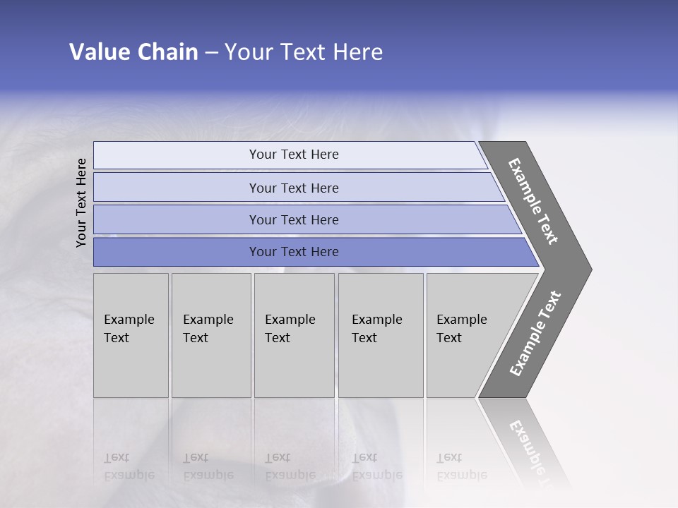 Old Lady Looking To The Sky PowerPoint Template