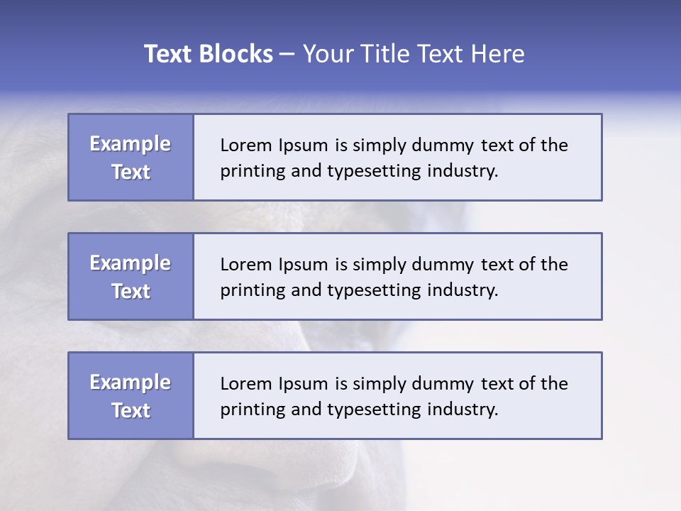 Old Lady Looking To The Sky PowerPoint Template