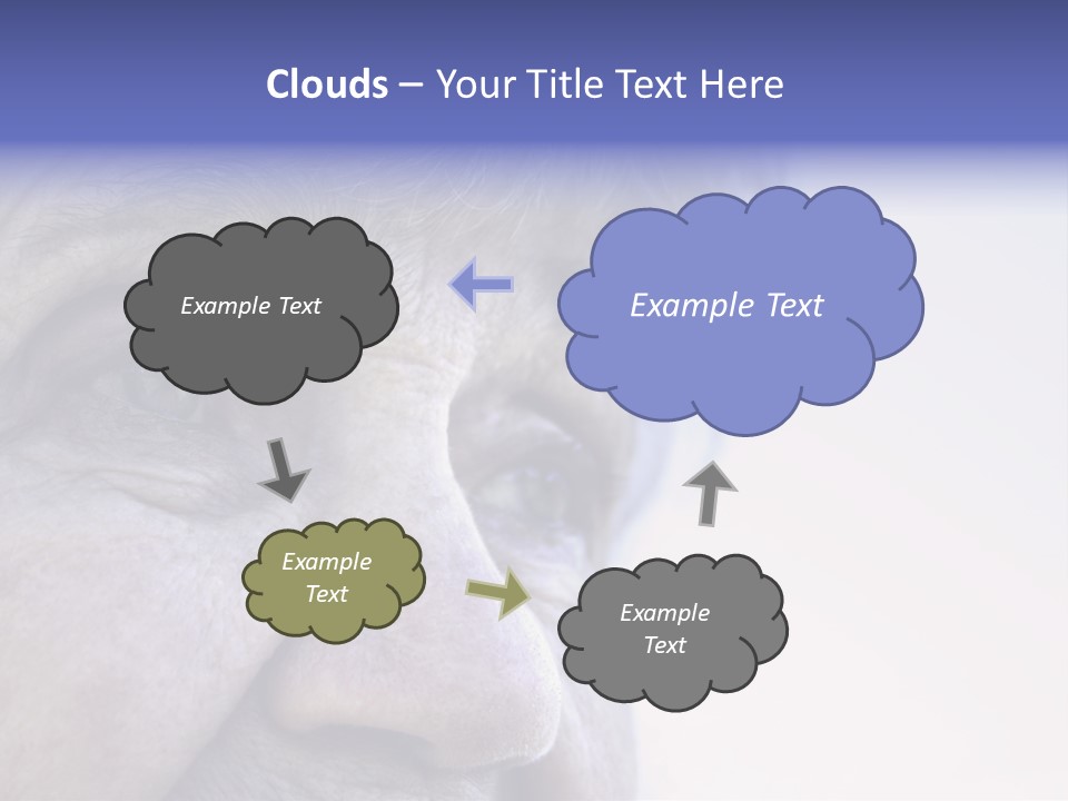 Old Lady Looking To The Sky PowerPoint Template