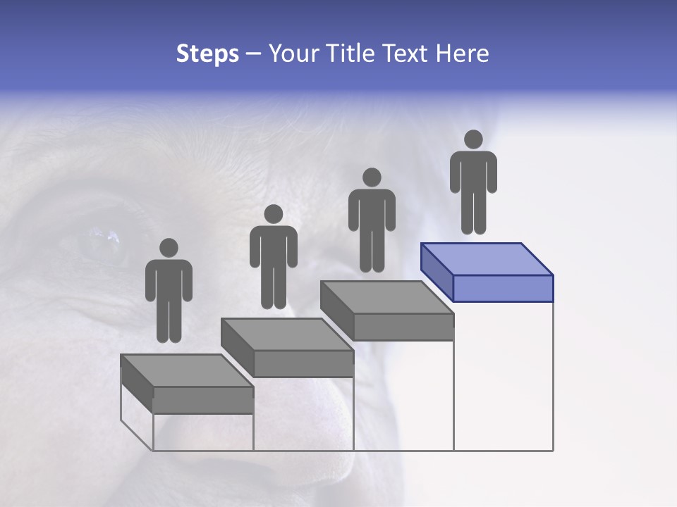 Old Lady Looking To The Sky PowerPoint Template