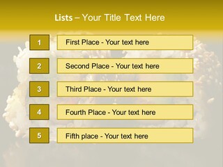 California Roll PowerPoint Template