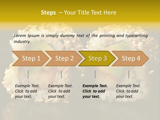 California Roll PowerPoint Template