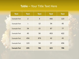 California Roll PowerPoint Template