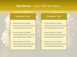 California Roll PowerPoint Template