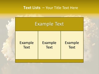 California Roll PowerPoint Template