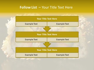 California Roll PowerPoint Template