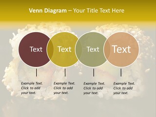 California Roll PowerPoint Template