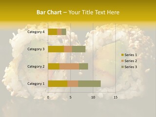 California Roll PowerPoint Template