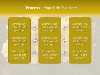 California Roll PowerPoint Template