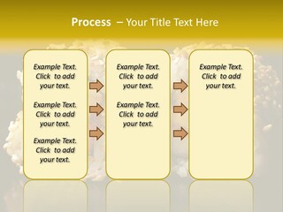 California Roll PowerPoint Template